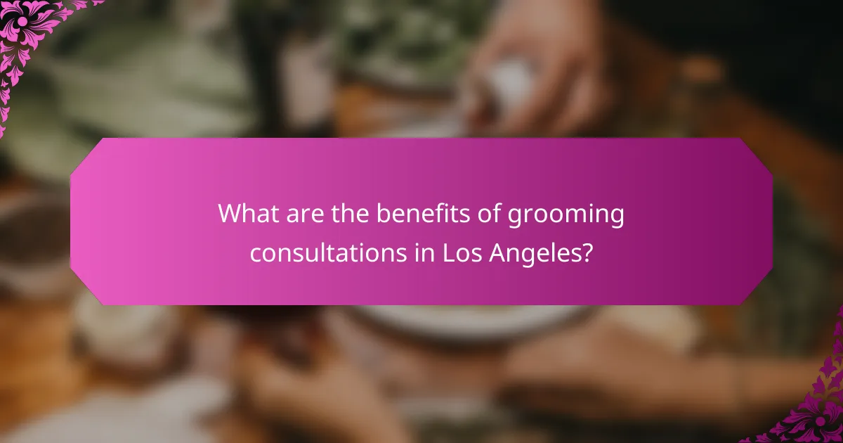 What are the benefits of grooming consultations in Los Angeles?