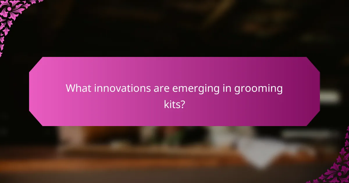 What innovations are emerging in grooming kits?