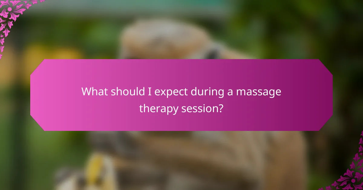 What should I expect during a massage therapy session?